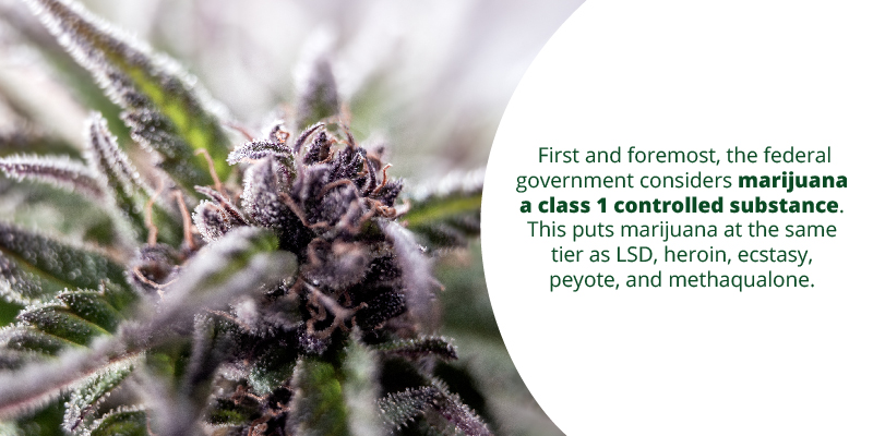 First and foremost, the federal government considers marijuana a class 1 controlled substance. This puts marijuana at the same tier as LSD, heroin, ecstasy, peyote, and methaqualone.